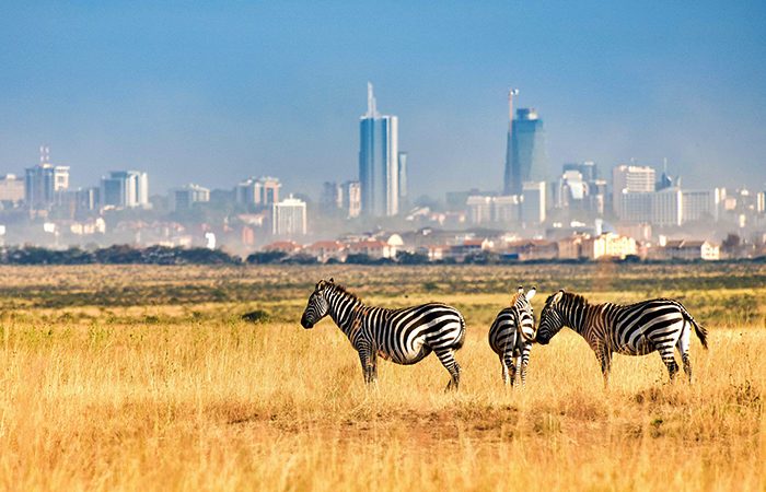 Top attractions in Nairobi
