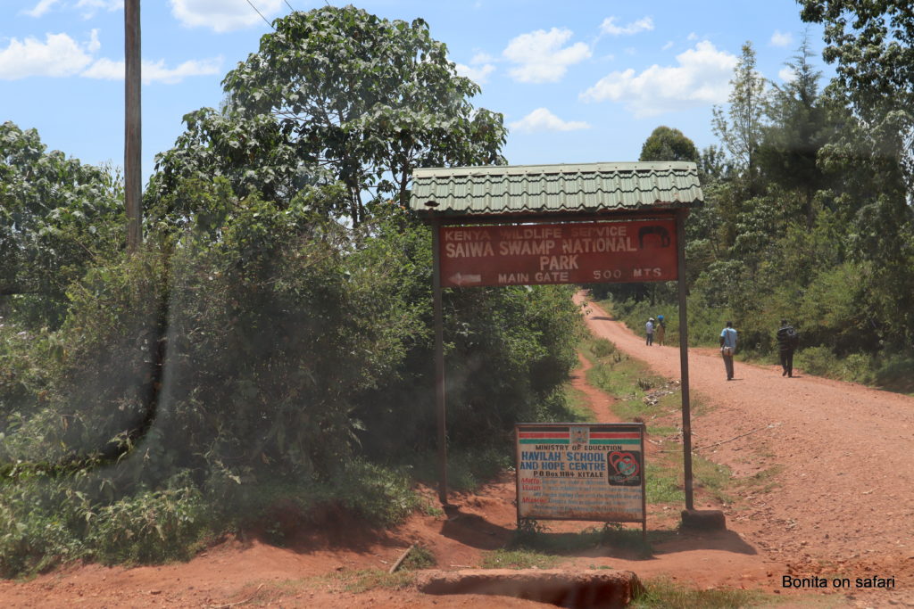 Bonita on safari Eldoret Jambojet